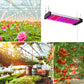 LED-Wachstumslampe Vollspektrum Pflanzenlicht-Röhre, Stil: Kleine Doppelreihe 100 cm (EU-Stecker)