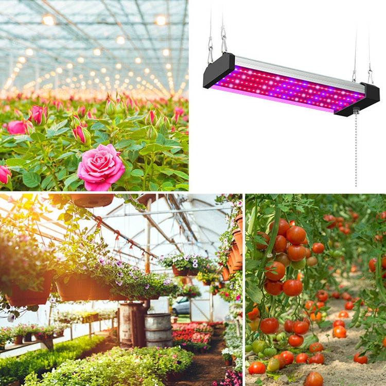 LED-Wachstumslampe Vollspektrum Pflanzenlicht-Röhre, Stil: Kleine Doppelreihe 100 cm (EU-Stecker)