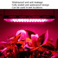 LED Pflanzenlicht Vollspektrum Wasserdichter Wachstumslicht EU Stecker 144 Perlen 200W