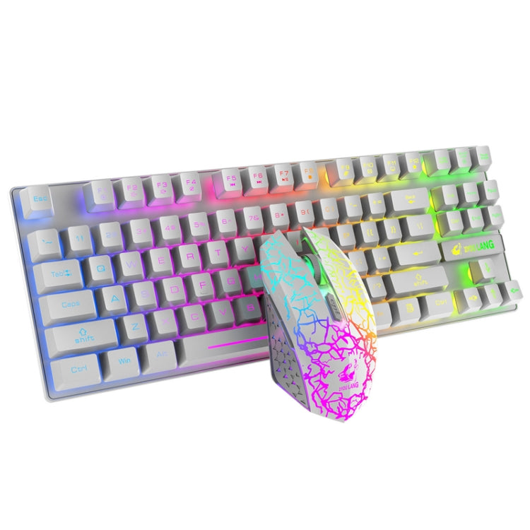 Frendorf | ZIYOU LANG T87 Gaming Leuchtendes Kabelloses Tastatur- und Maus-Set (Weiß)