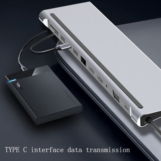 Frendorf | 12 In 1 Typ C Laptop Smart Docking Station(Grau)