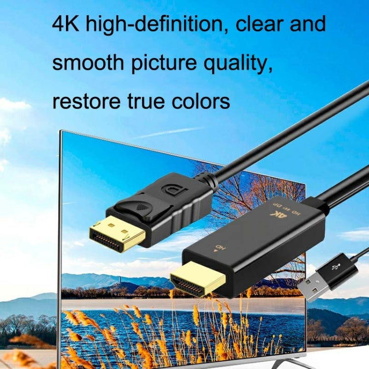 Frendorf | H146 25cm 4K 60Hz HDMI zu DP Adapter mit Netzteil HD Konverter