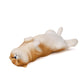 Niedliche Kawaii Schlafende Haustier Figurine Sammlung Dekoration Kühlschrankmagnet Kaffee Lie Shiba Inu