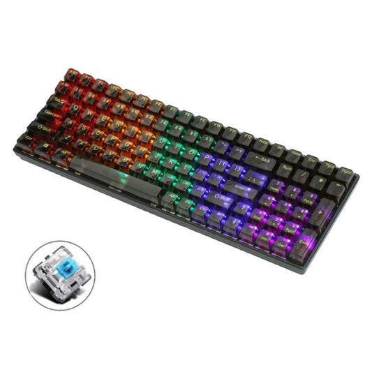 Frendorf | 100 Tasten Anpassbare Gaming Verkabelte Mechanische Tastatur Transparente Tastenkappen Grüner Schaft (Schwarz)