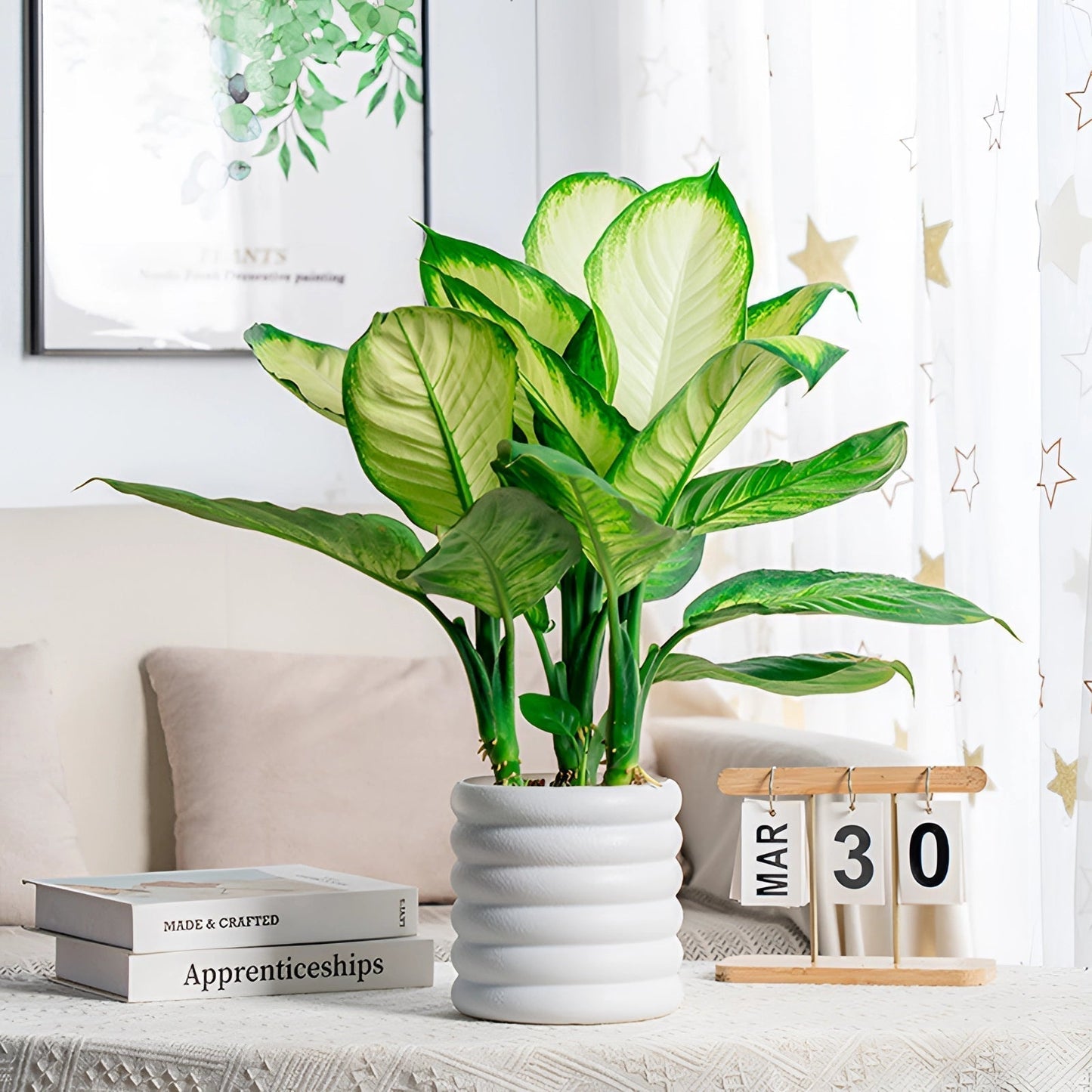Frendorf | Verdéva - Moderne Indoor-Topf