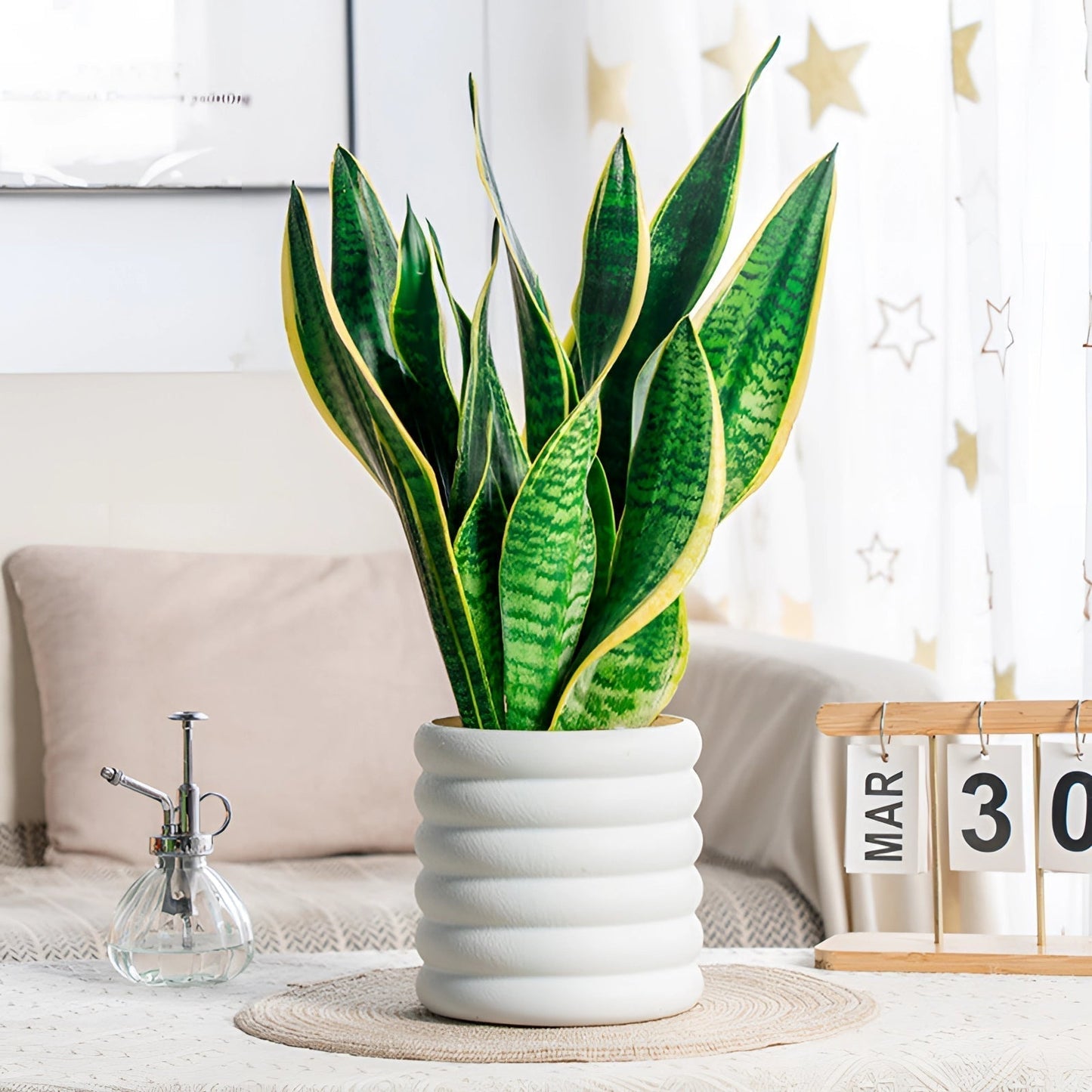 Frendorf | Verdéva - Moderne Indoor-Topf