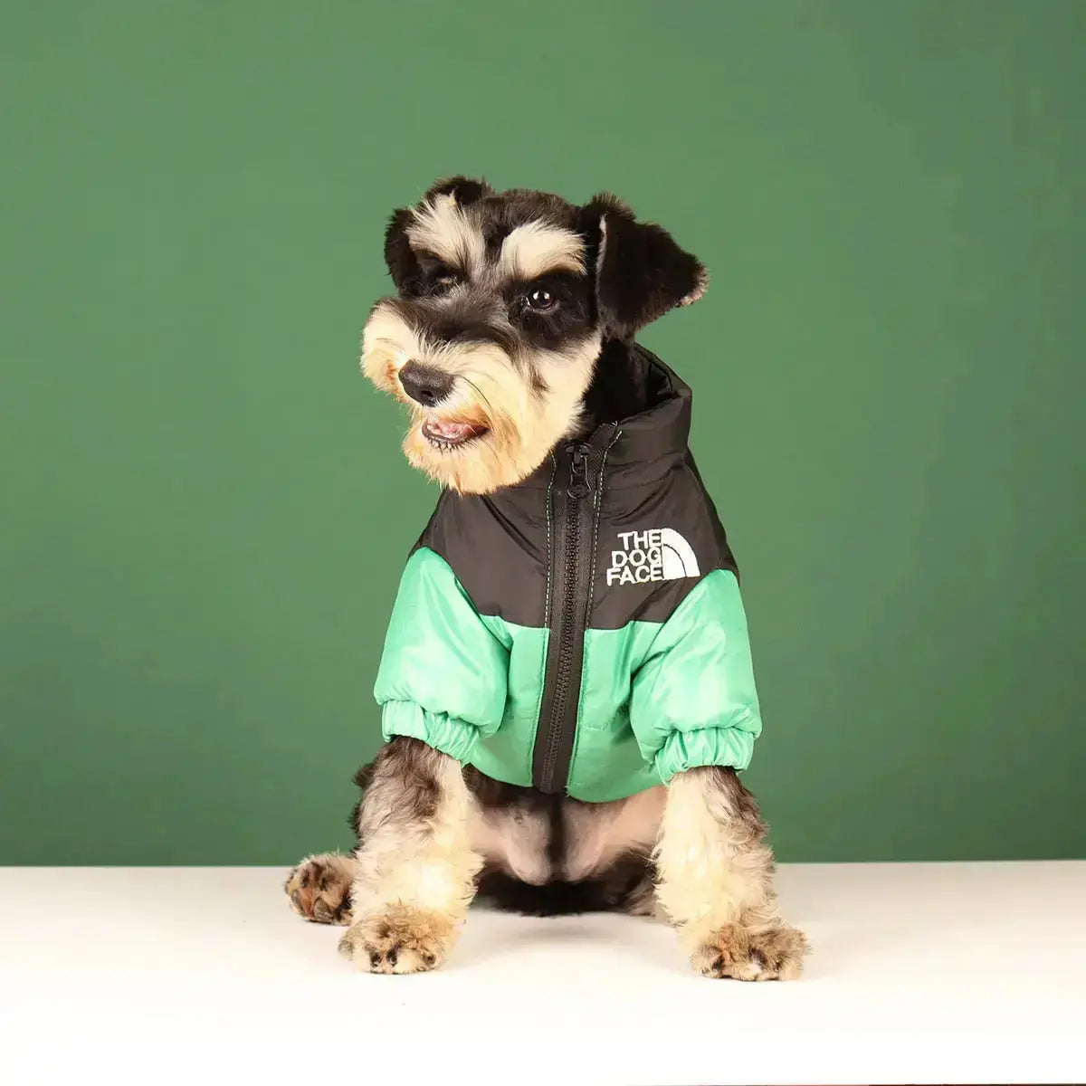 Frendorf | Die Dog Face Jacke - Typ A