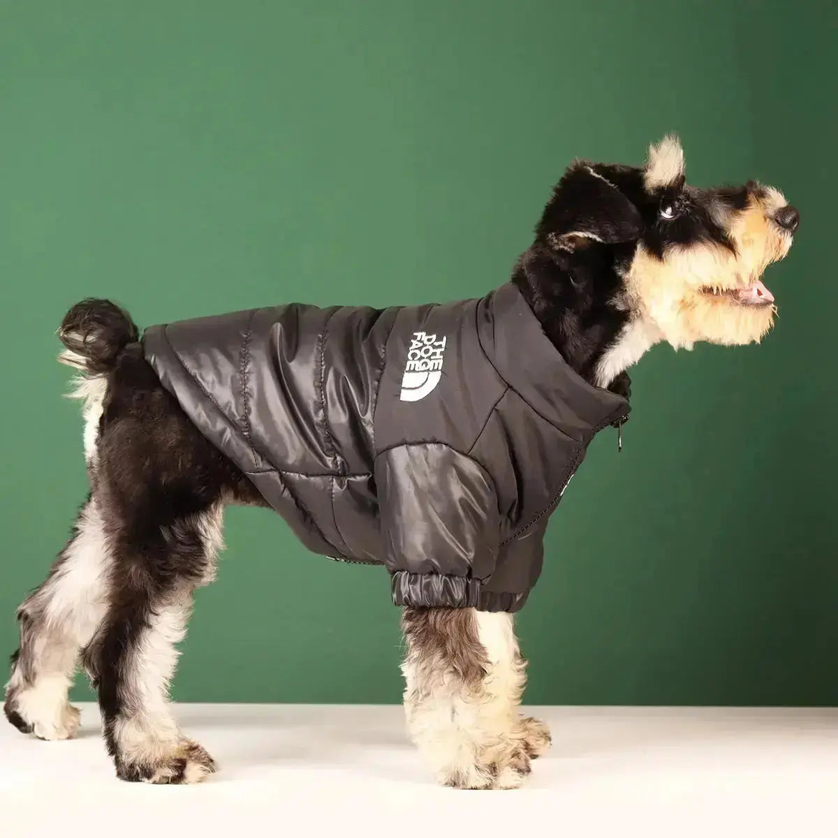 Frendorf | Die Dog Face Jacke - Typ A
