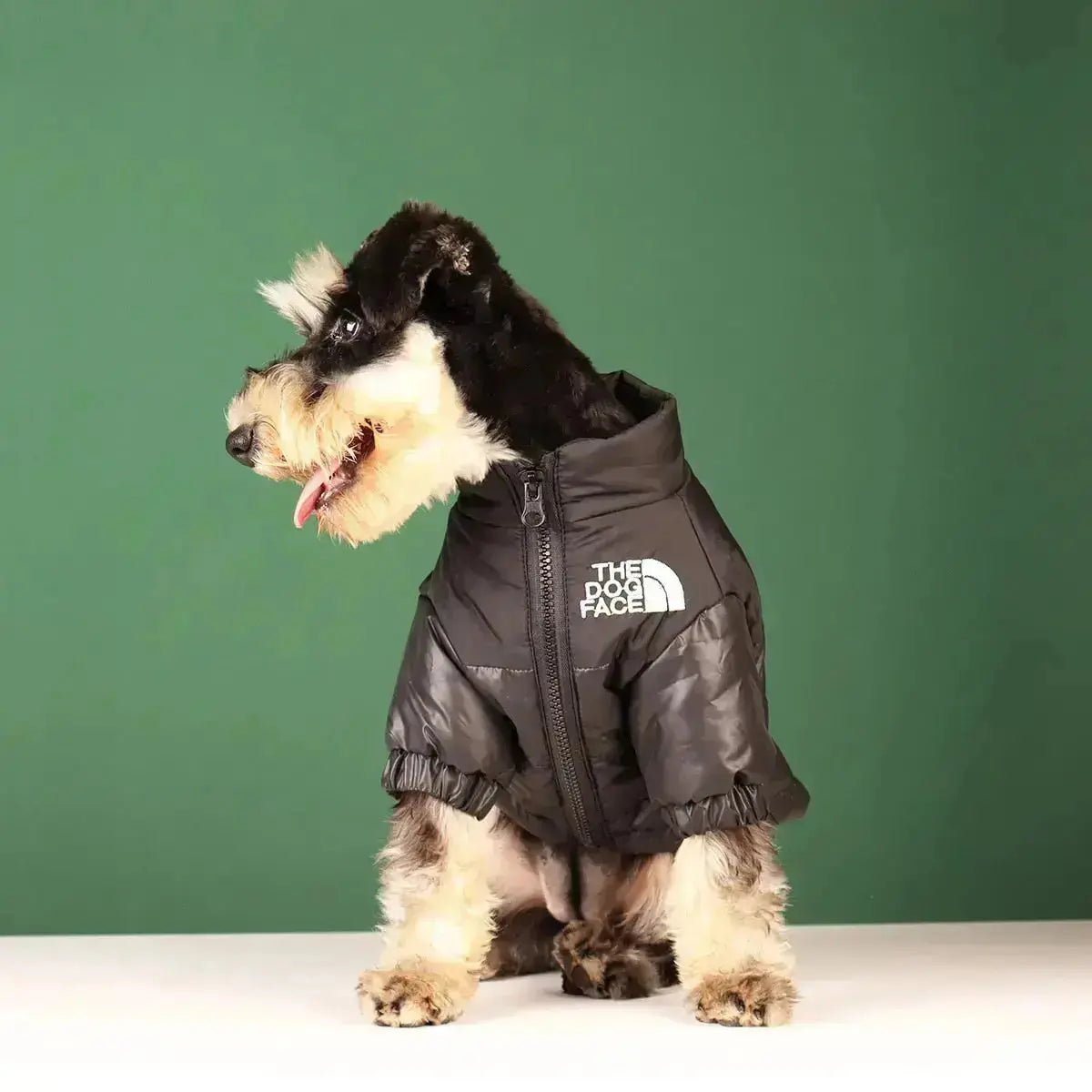 Frendorf | Die Dog Face Jacke - Typ A