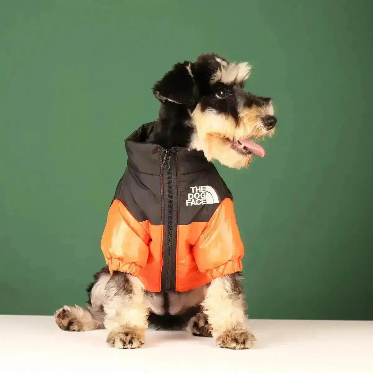 Frendorf | Die Dog Face Jacke - Typ A