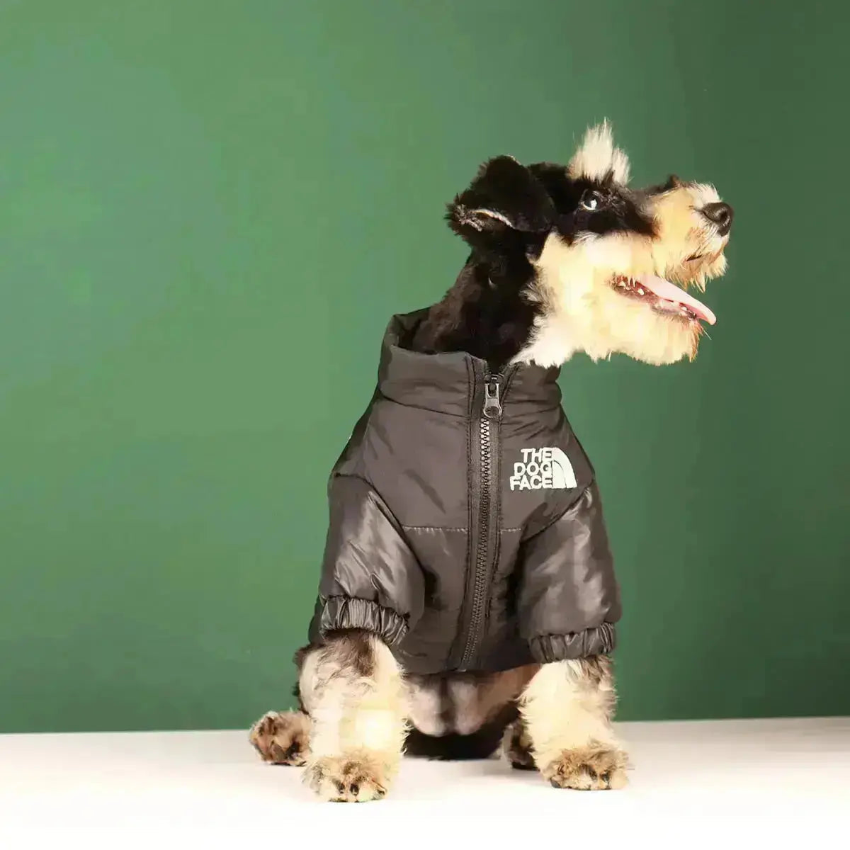 Frendorf | Die Dog Face Jacke - Typ A