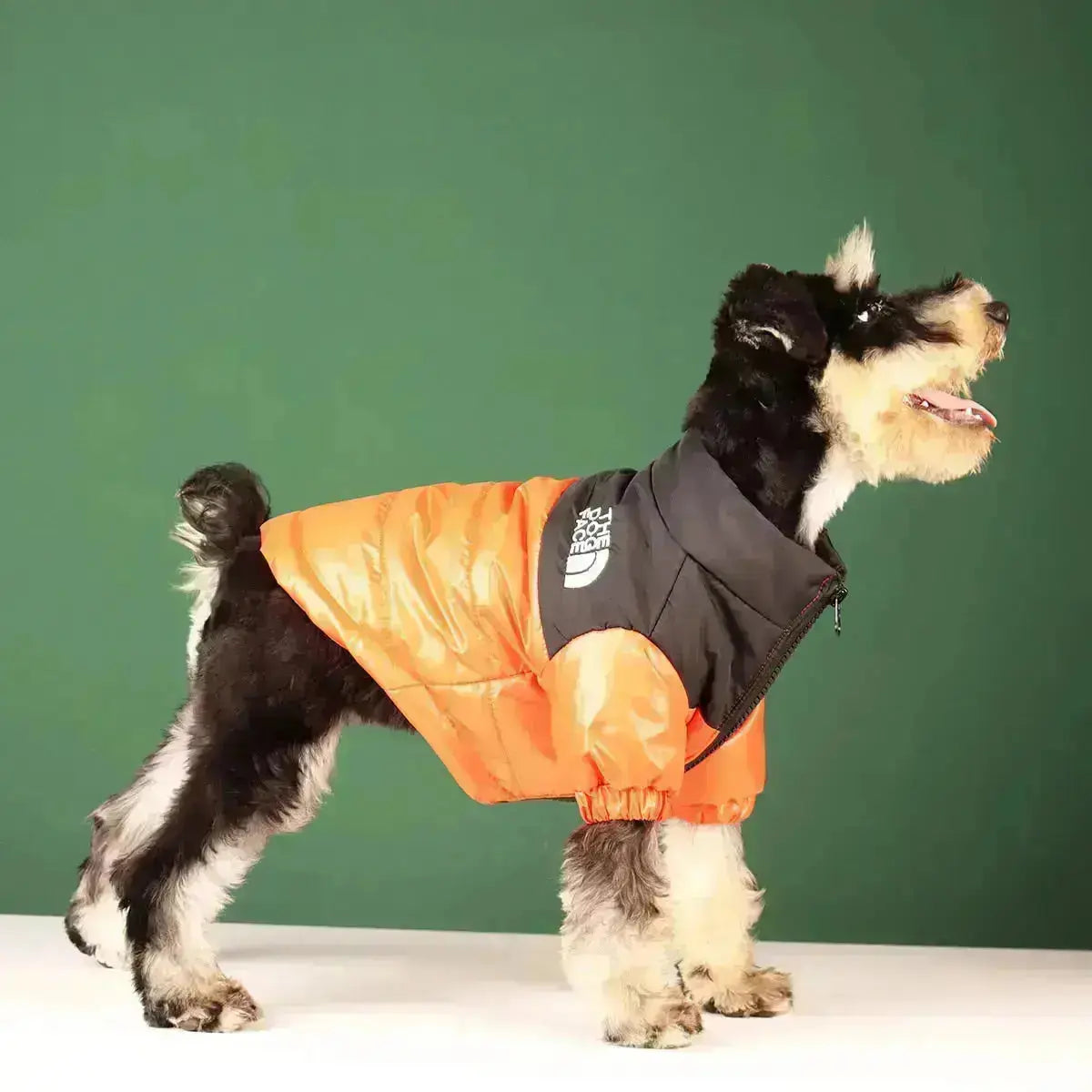 Frendorf | Die Dog Face Jacke - Typ A