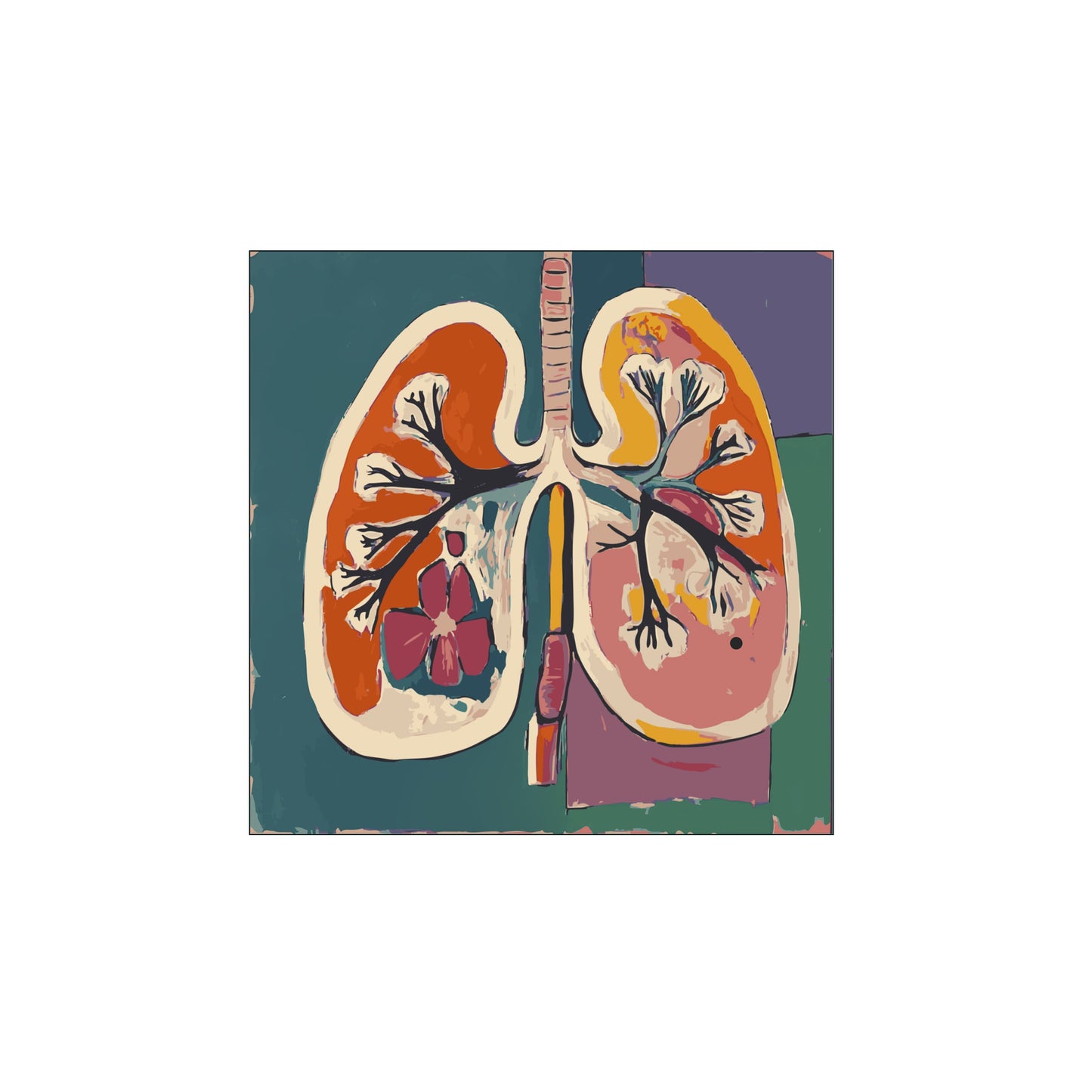 The lungs