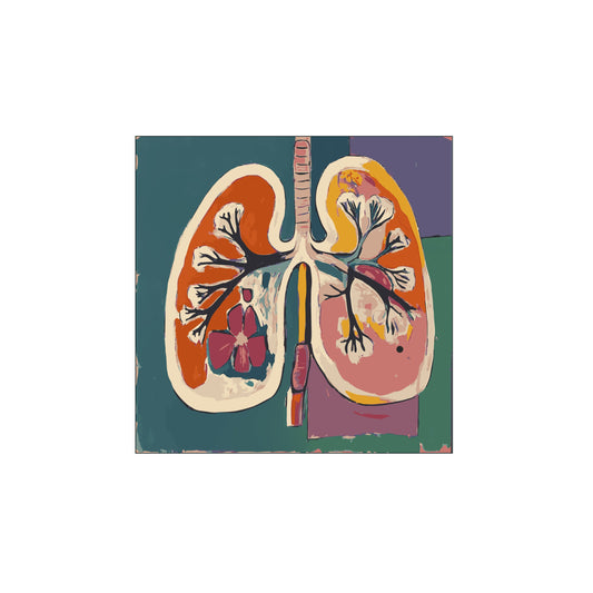 The lungs