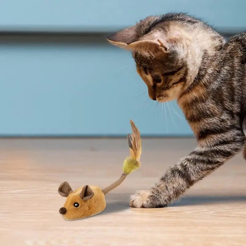 Frendorf | Turbo Muis met Licht & Geluid - Het Zelf-Spelende Speelgoed voor Jouw Kat!