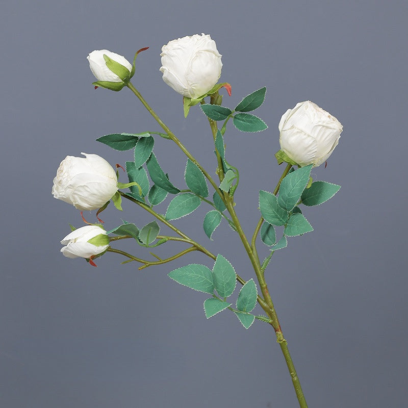 Frendorf | 5 Kopf Rose Seidenblume