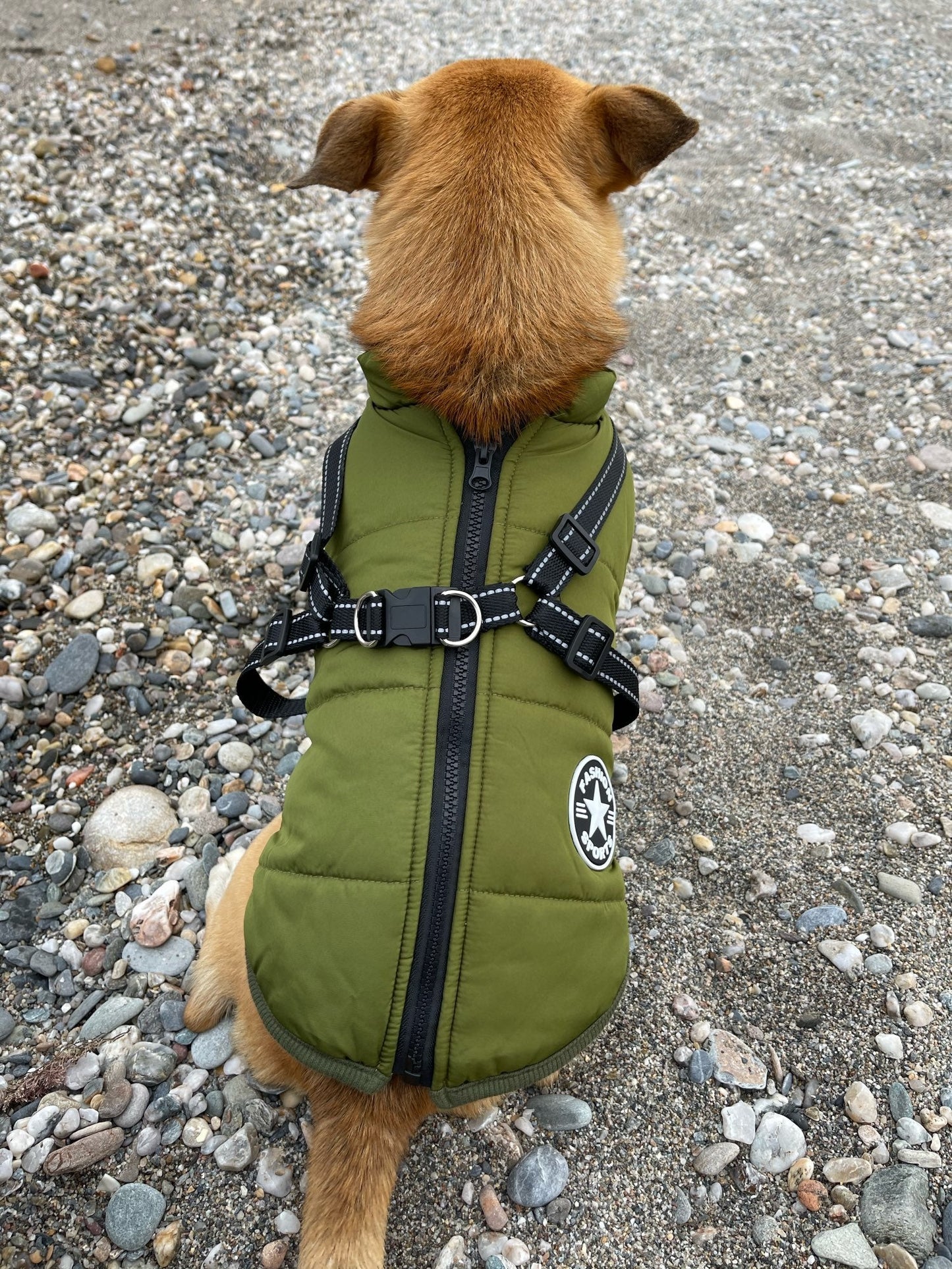 Frendorf | DoggyKönig 3 in 1 Jacket