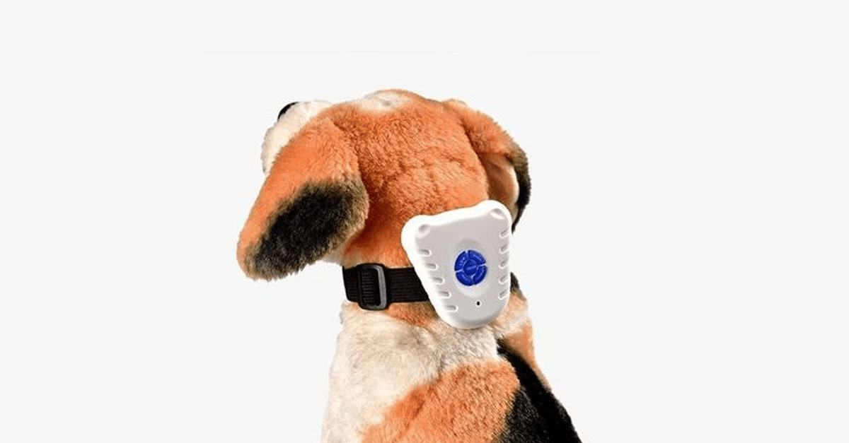 Frendorf | Bark Off: Hundehalsband