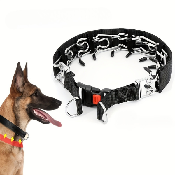 Frendorf | WalkControl | Hundehalsband für das Leinefreie Spazierengehen mit Schnellverschluss