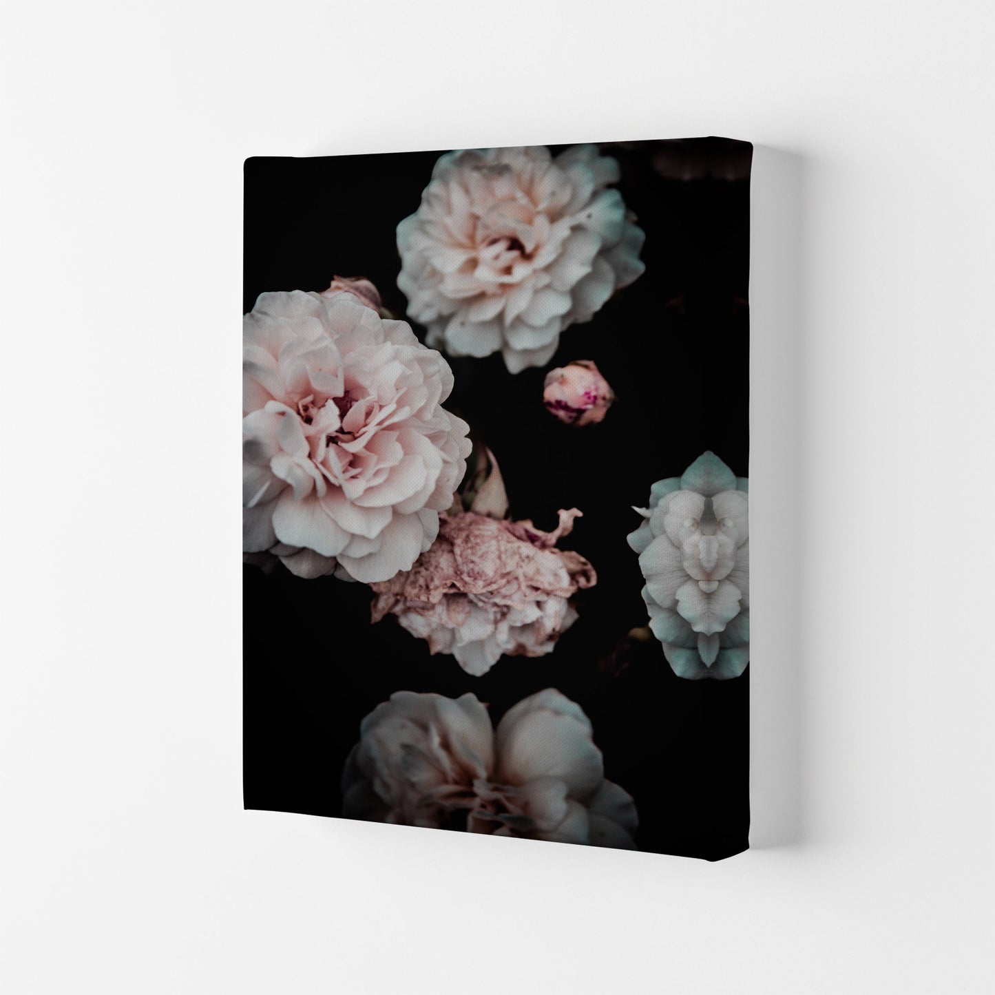 Crisp Pink Fotodruck