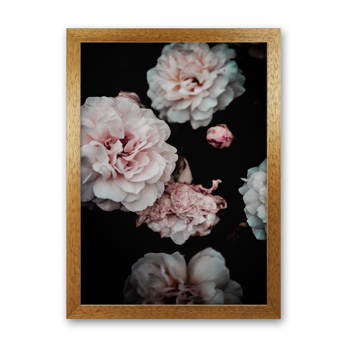 Crisp Pink Fotodruck