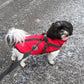 Frendorf | DoggyKönig 3 in 1 Jacket