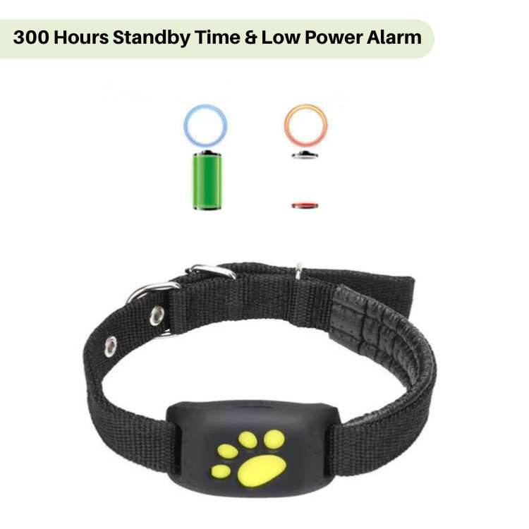 Frendorf | #1 Finde GPS Katzen Tracker mit Echtzeit-Standort, wasserdichtem Design und Aktivitätsüberwachung für Sicherheit und Tracking von Haustieren