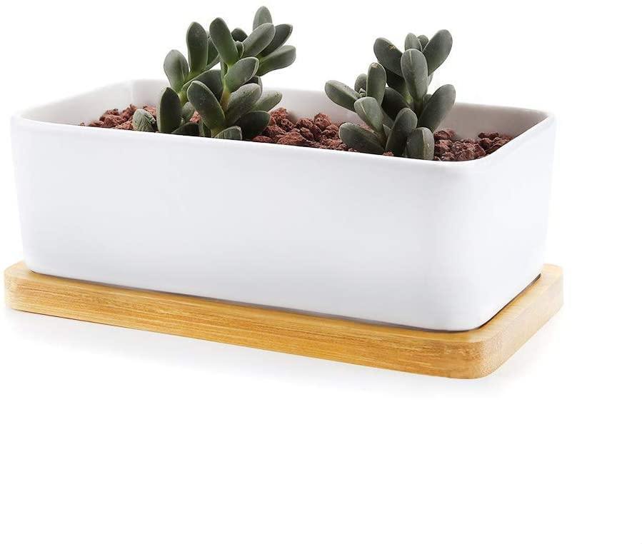 Frendorf | EcoTray Bambus Untersetzer für Blumentöpfe | Natürliche Pflanzenunterlagen in Verschiedenen Formen & Größen