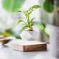 Frendorf | LeviPot Schwebender Blumentopf | Elegantes Design | Magnetisches Pflanzgefäß | Deko für Zuhause