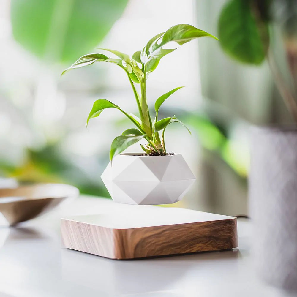 Frendorf | LeviPot Schwebender Blumentopf | Elegantes Design | Magnetisches Pflanzgefäß | Deko für Zuhause