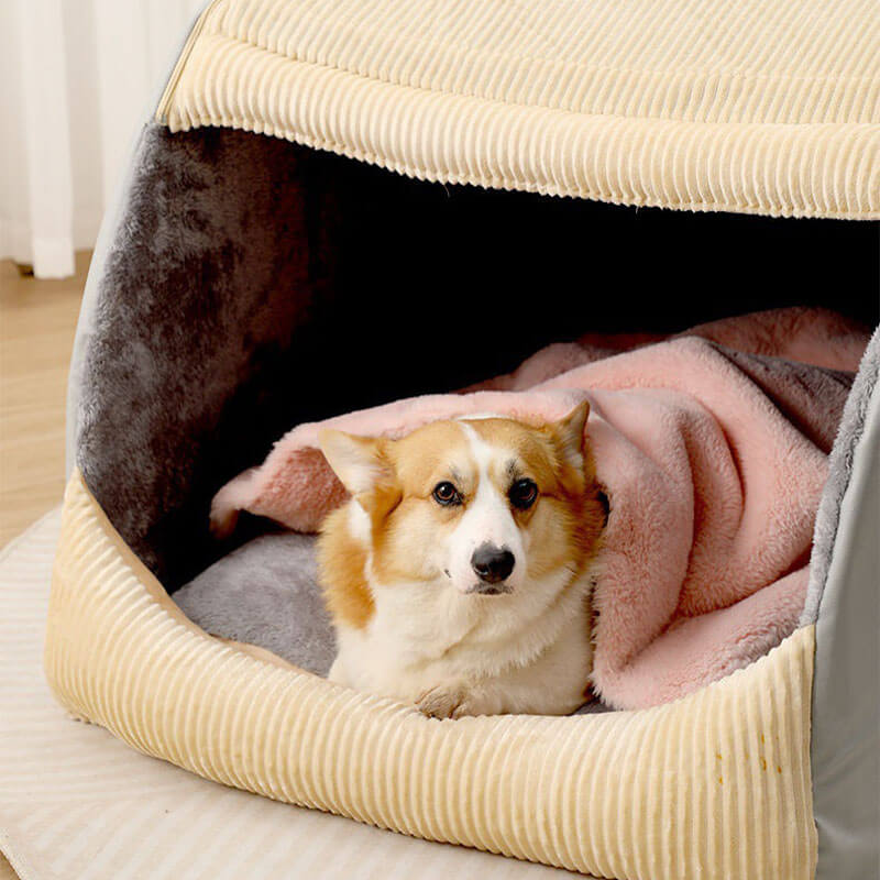 Frendorf | Bequeme Hundezeltbett - CozyCave