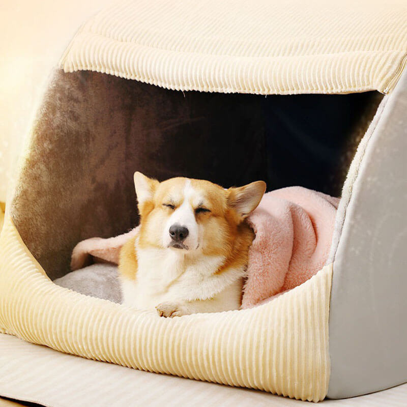 Frendorf | Bequeme Hundezeltbett - CozyCave