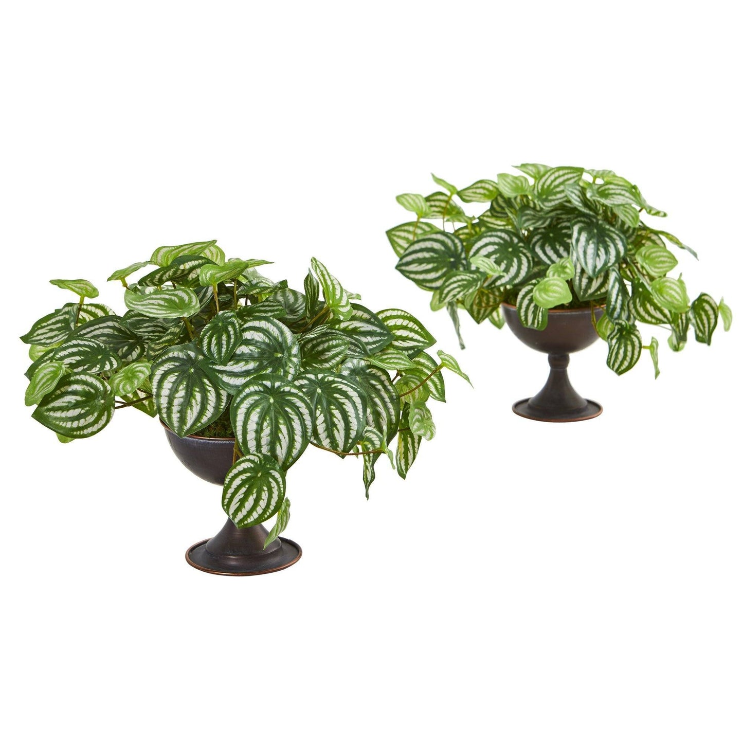 Wassermelone Peperomia Künstliche Pflanze in Metallkelch (Echter Touch) (Set von 2)
