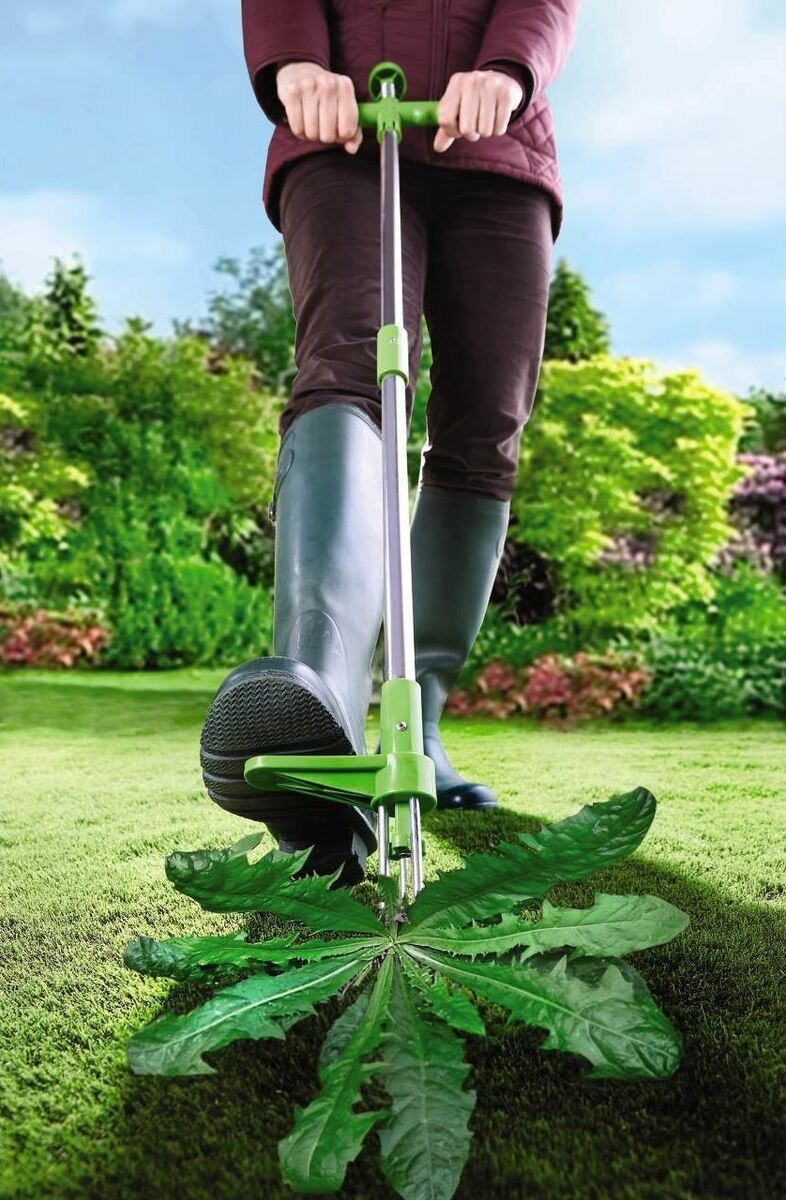 Frendorf |  Stehendes Unkrautentfernungsgerät