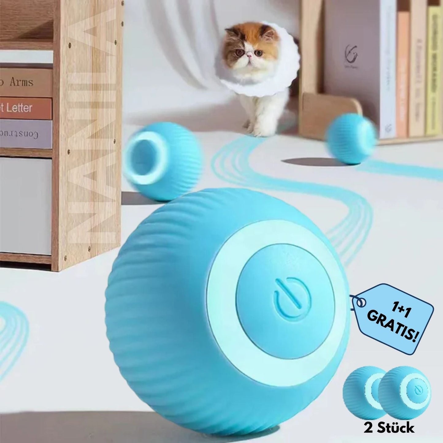 Frendorf | Halte deine Katze im Haus glücklich und gesund