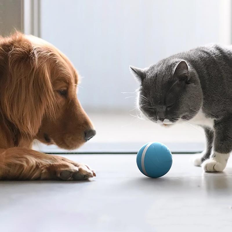 Frendorf | Bewegungsball