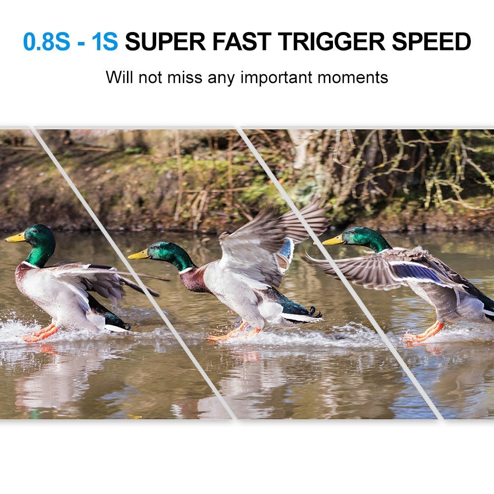 720P 5MP Trail- & Wildkamera - Bewegungsmelder Jagd- & Wildbeobachtung mit 46 LEDs Nachtsicht, IP54 Wasserdicht für den Außeneinsatz