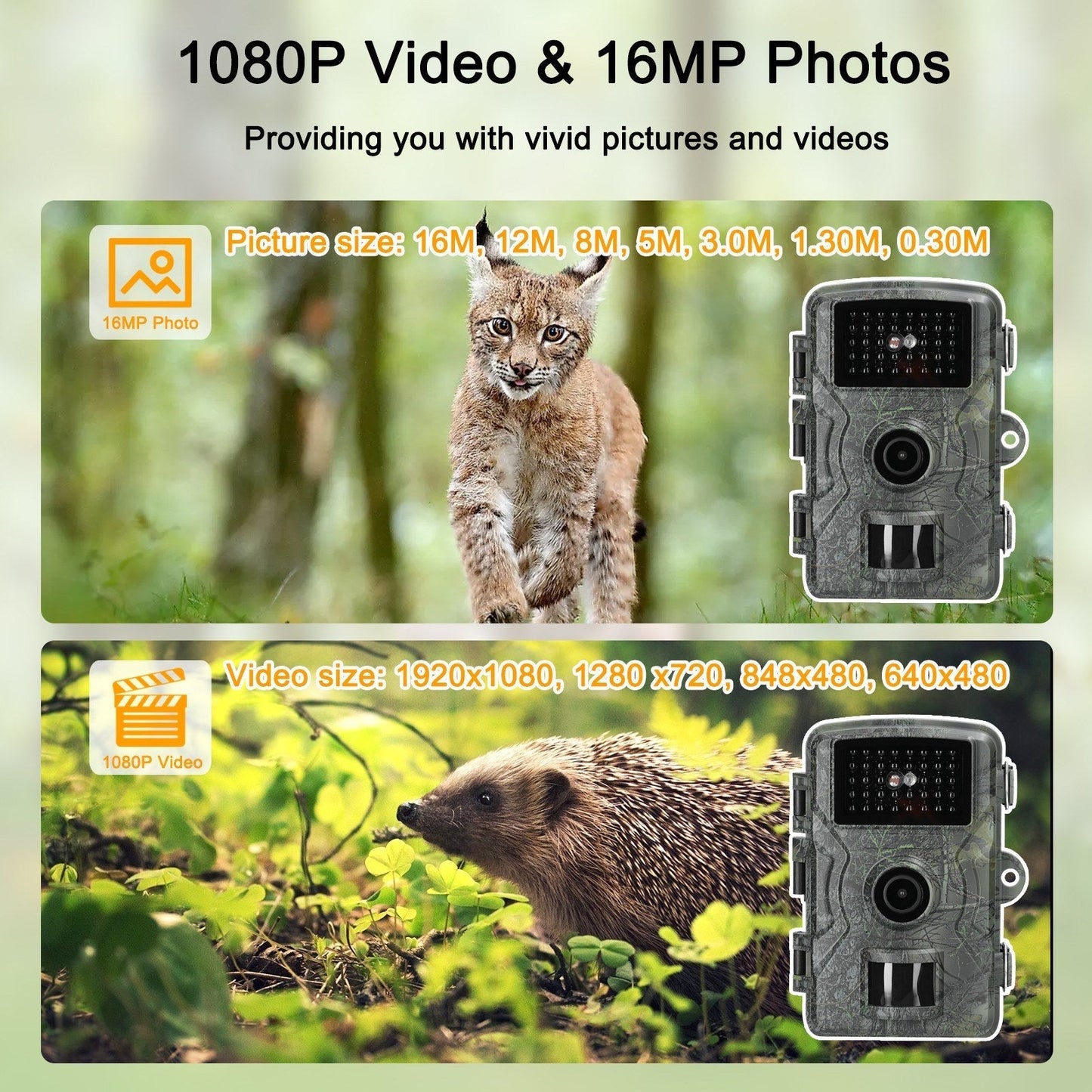 16MP 1080P Tragbare Outdoor-Fotofalle zur Tierbeobachtung