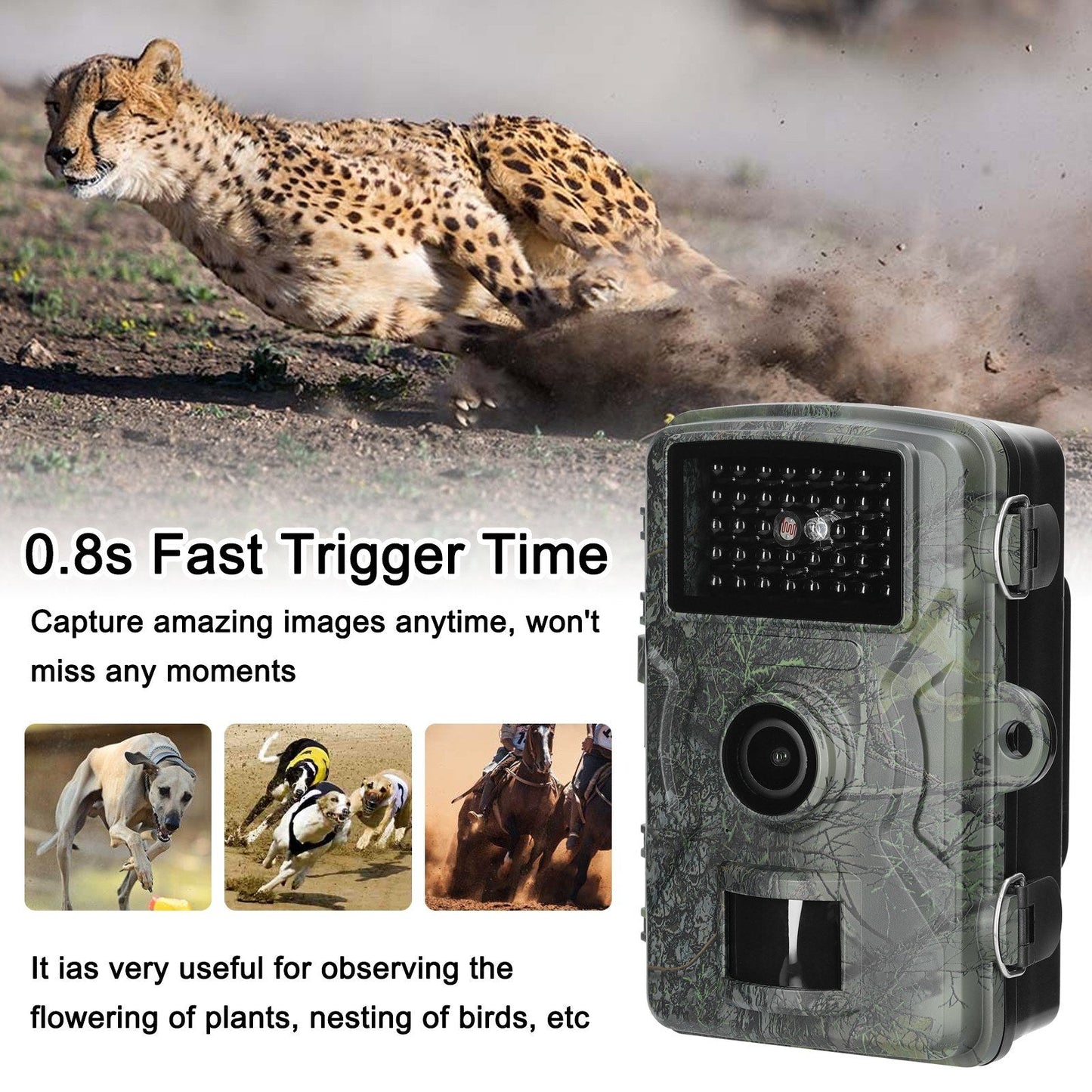 16MP 1080P Tragbare Outdoor-Fotofalle zur Tierbeobachtung