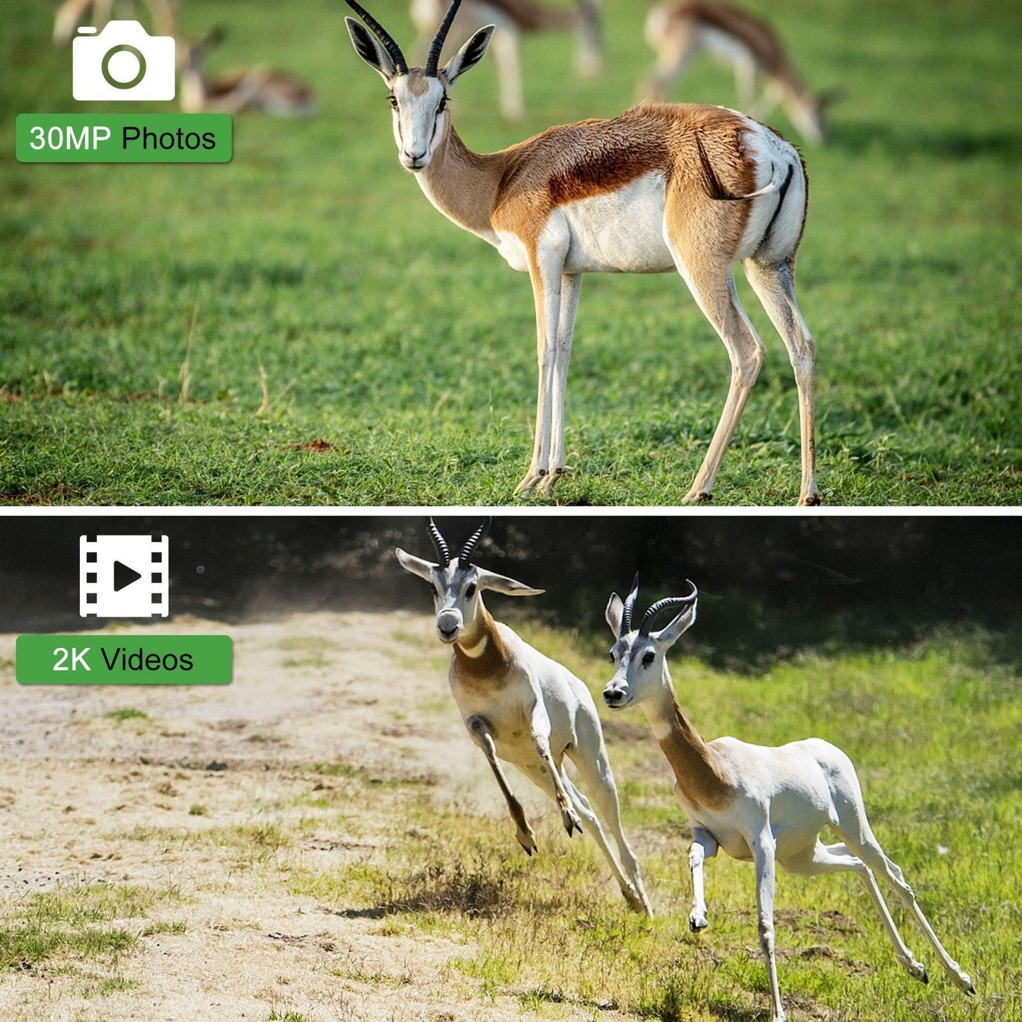 Frendorf | 30MP 4G LTE Drahtlose Jagdkamera, 2.4 Farbdisplay, Infrarot-Nachtsicht, Outdoor-Wildtier- & Landwirtschaftssicherheit