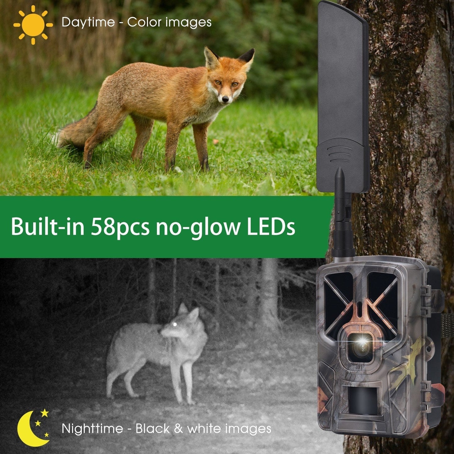 Frendorf | 30MP 4G LTE Drahtlose Jagdkamera, 2.4 Farbdisplay, Infrarot-Nachtsicht, Outdoor-Wildtier- & Landwirtschaftssicherheit