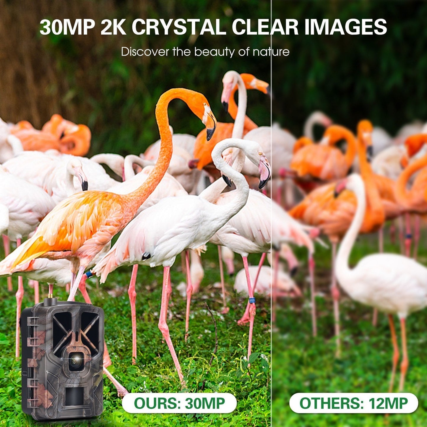 Frendorf | 30MP 4G LTE Drahtlose Jagdkamera, 2.4 Farbdisplay, Infrarot-Nachtsicht, Outdoor-Wildtier- & Landwirtschaftssicherheit