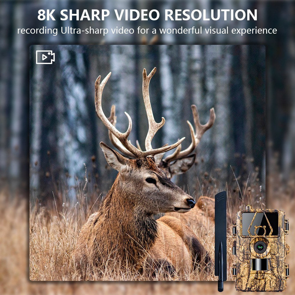 8K Trail Cam 60MP Fotos | Nachtsicht Bewegungsmelder | Wasserfeste Wildkamera für Jagd & Haussicherheit | 4G EU-Version mit SIM & Antenne