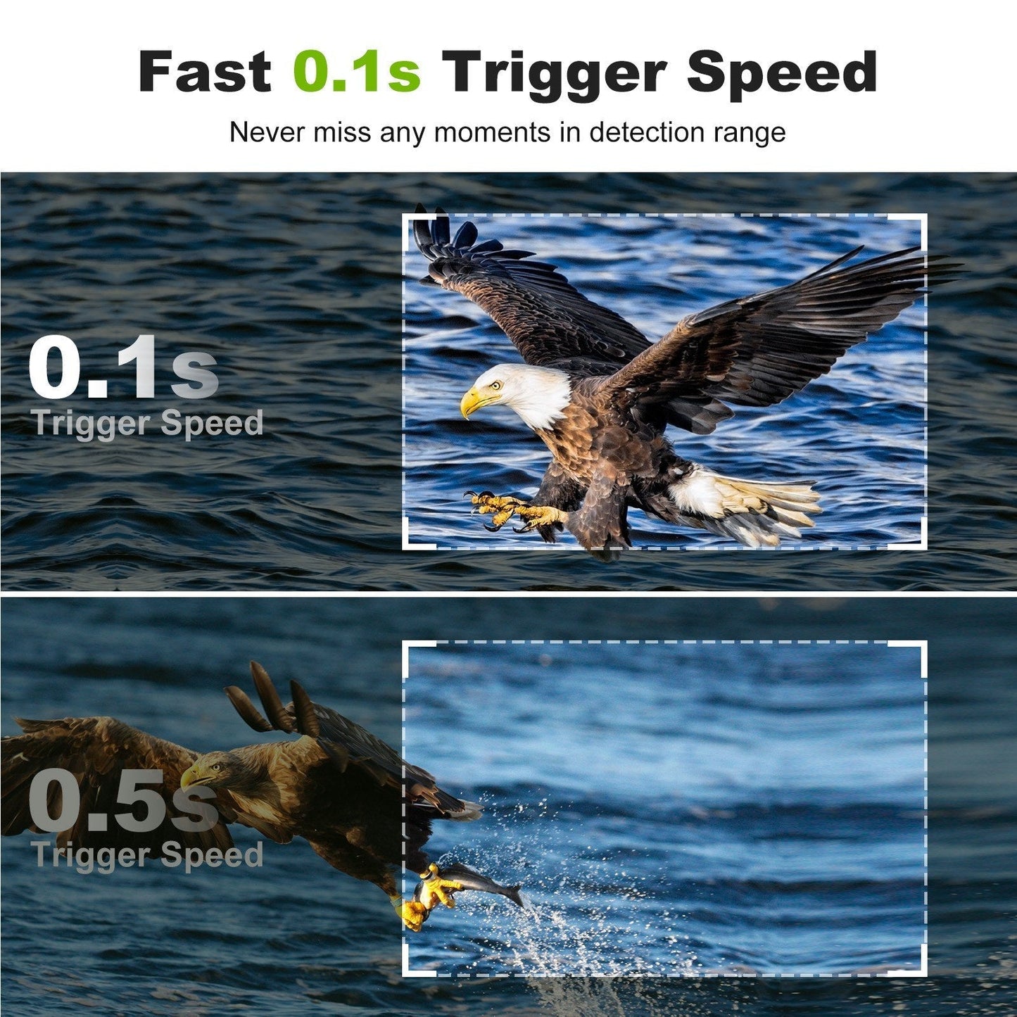 32MP WiFi Jagd- & Trail-Kamera: Hochauflösende Tierbeobachtung, Infrarot, IP66 wasserdicht, PIR-Bewegungserkennung