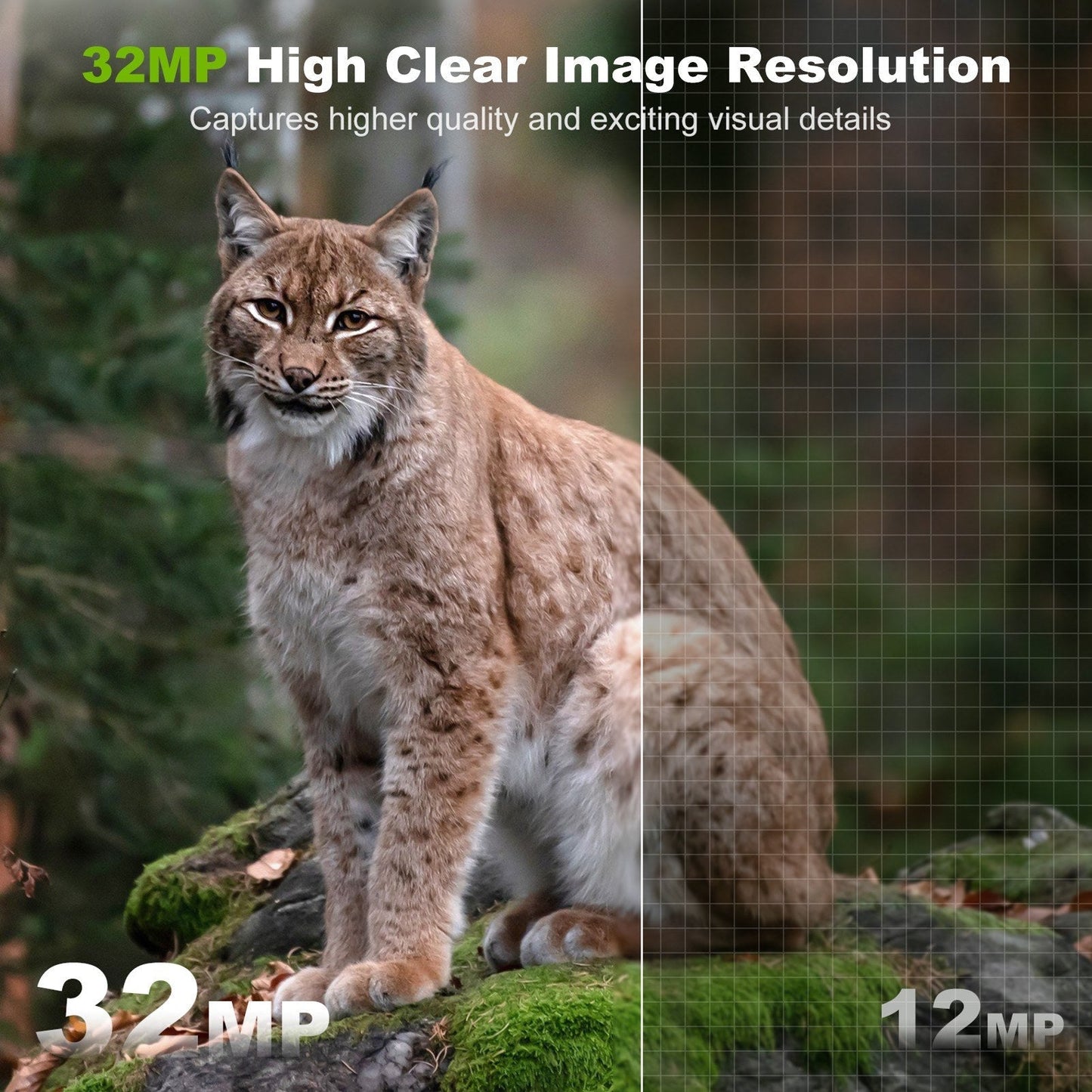 32MP Wireless Solar Trailkamera - Außenwildtier- & Jagdkamera, Infrarot-Nachtsicht, WiFi, IP66 wasserdicht