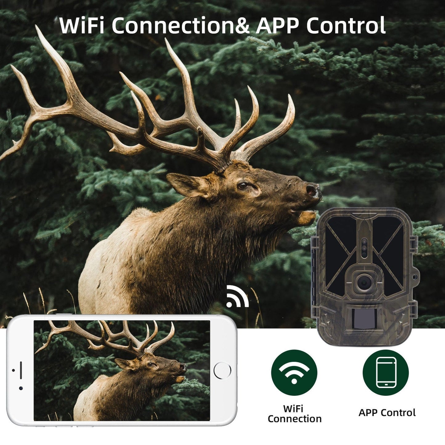 4K WiFi Trail-Kamera - Drahtlose Jagdkamera mit PIR-Sensor & Nachtsicht