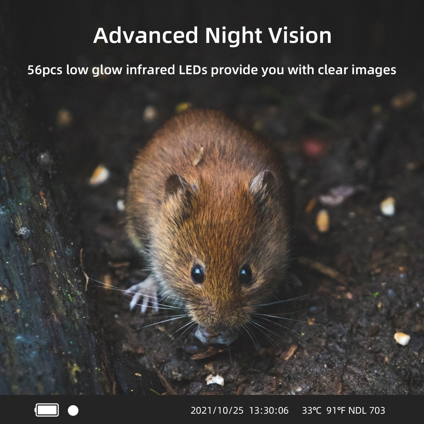 4K WiFi Trail-Kamera - Drahtlose Jagdkamera mit PIR-Sensor & Nachtsicht