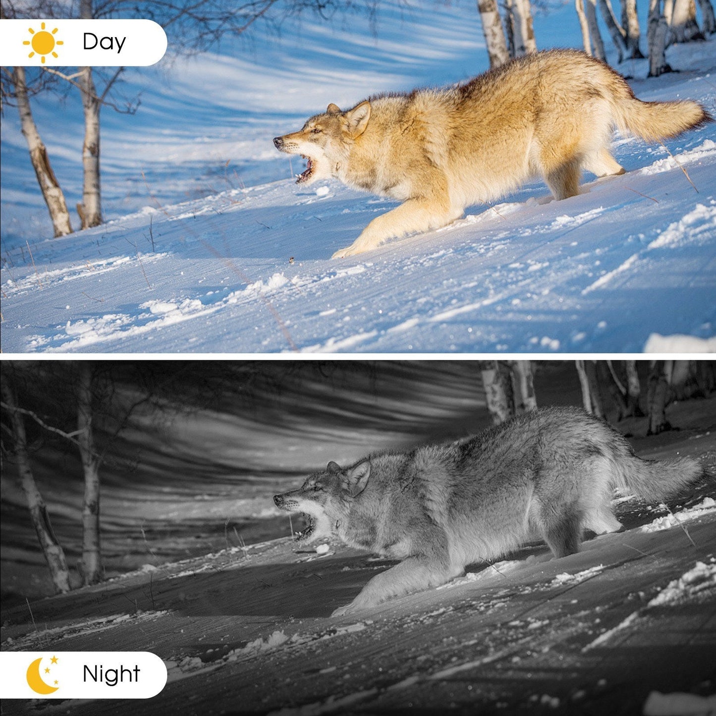 4K WLAN Trail-Kamera 36MP, App-gesteuerte Jagdkamera mit 20m Nachtsicht, 120° PIR-Erkennung, IP65 wasserdicht, verbesserter 5MP Sensor