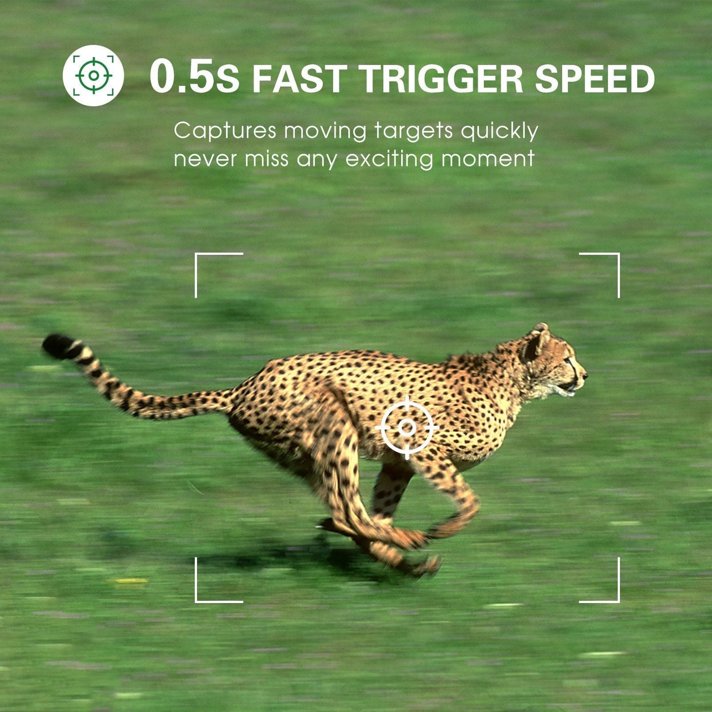 4K WLAN Trail-Kamera 36MP, App-gesteuerte Jagdkamera mit 20m Nachtsicht, 120° PIR-Erkennung, IP65 wasserdicht, verbesserter 5MP Sensor