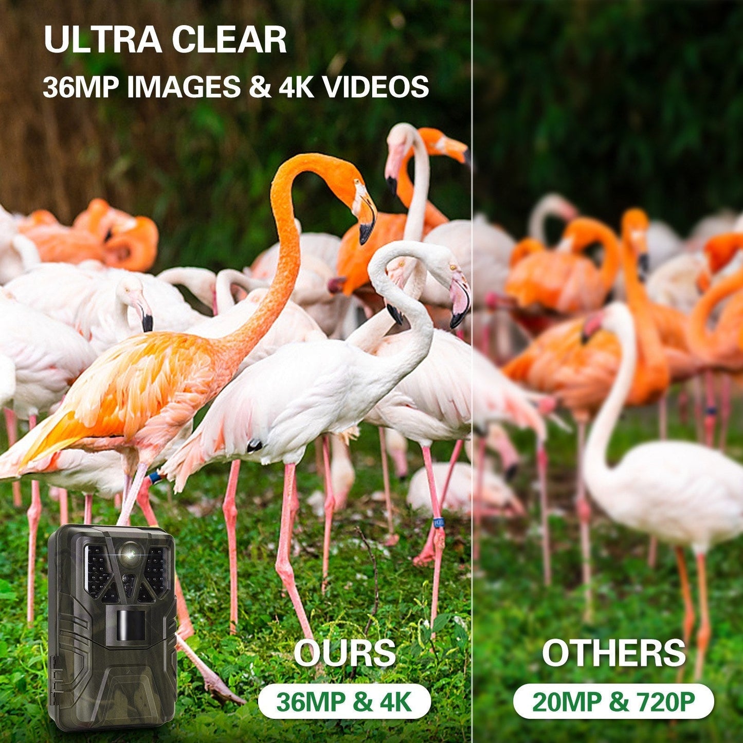 4K WLAN Trail-Kamera 36MP, App-gesteuerte Jagdkamera mit 20m Nachtsicht, 120° PIR-Erkennung, IP65 wasserdicht, verbesserter 5MP Sensor